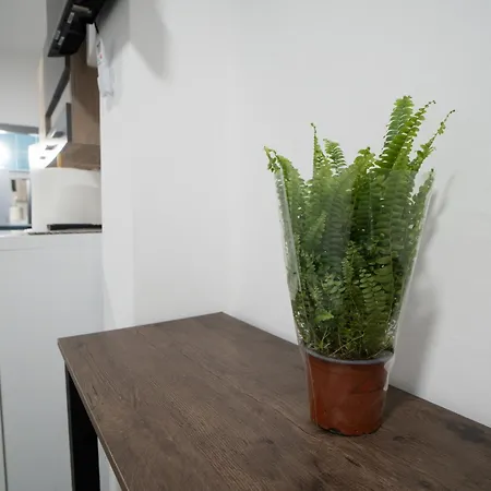 Vukelic 1 Apartment Belgrade